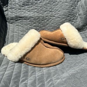 EVERYTHING MUST GO TODAY!